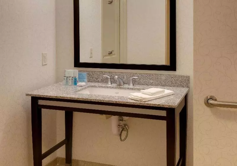 اتاق استاندارد با تخت بزرگ, Hampton Inn Portland Downtownwaterfront