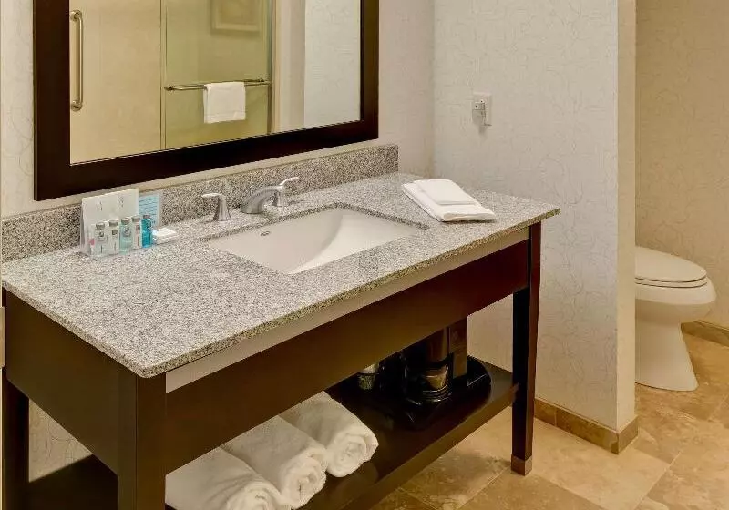 اتاق استاندارد با تخت بزرگ, Hampton Inn Portland Downtownwaterfront