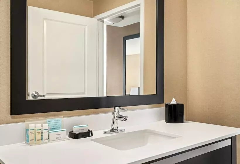 استودیوی استاندارد با تخت دوبل, Hampton Inn Portland Downtownwaterfront