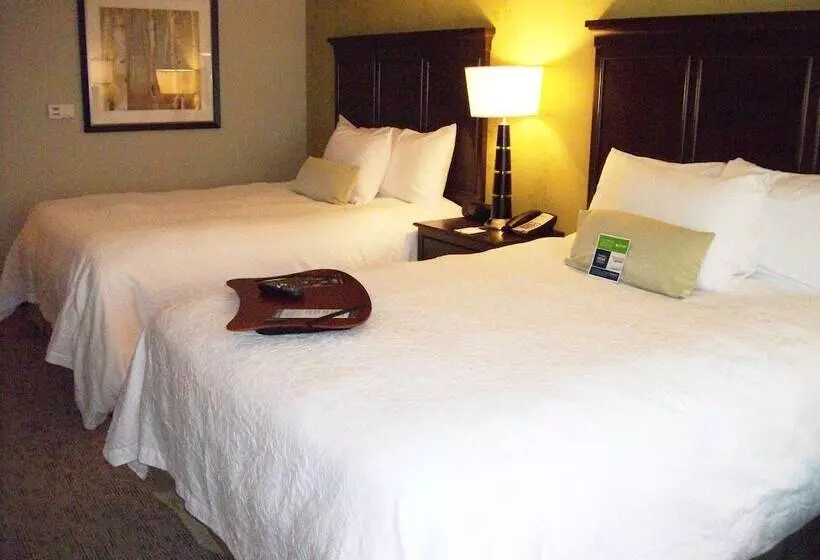 スタンダードルーム, Hampton Inn & Suites Manteca