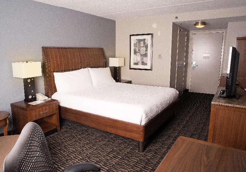 Büyük Çift Kişilik Yataklı Delüks Oda, Hilton Garden Inn Austin Nw Arboretum