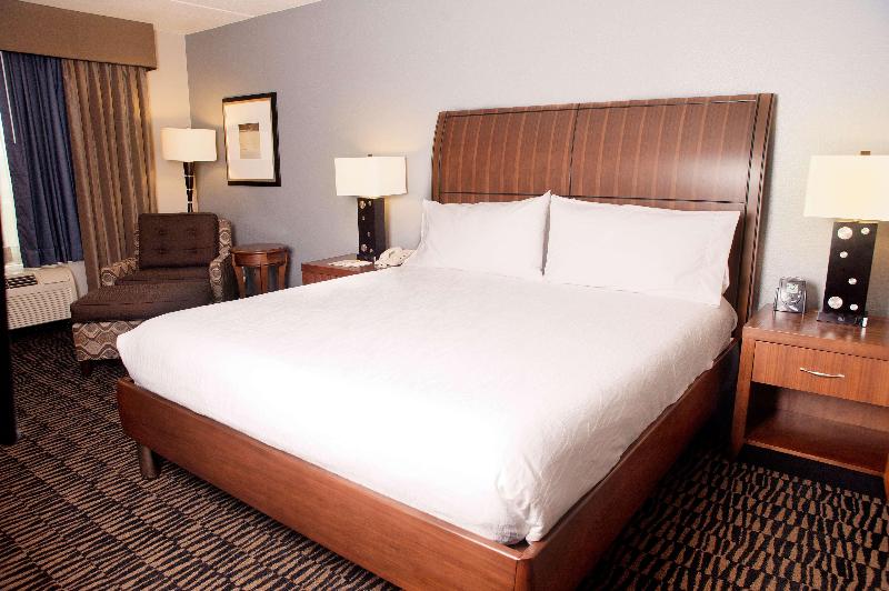 Büyük Çift Kişilik Yataklı Standart Oda, Hilton Garden Inn Austin Nw Arboretum