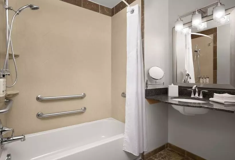 Standard-invahuone, Holiday Inn & Suites Durango Downtown, An Ihg
