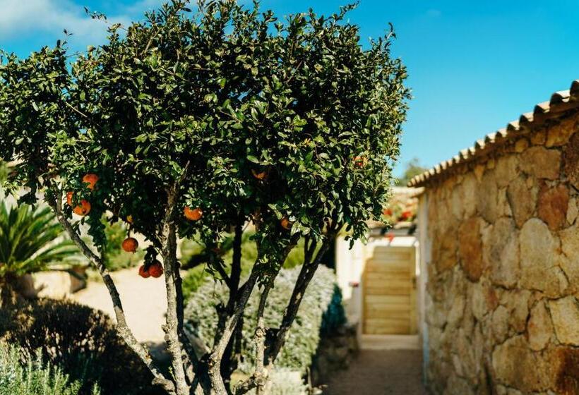 اتاق استاندارد اینتریور, Les Bergeries De Palombaggia