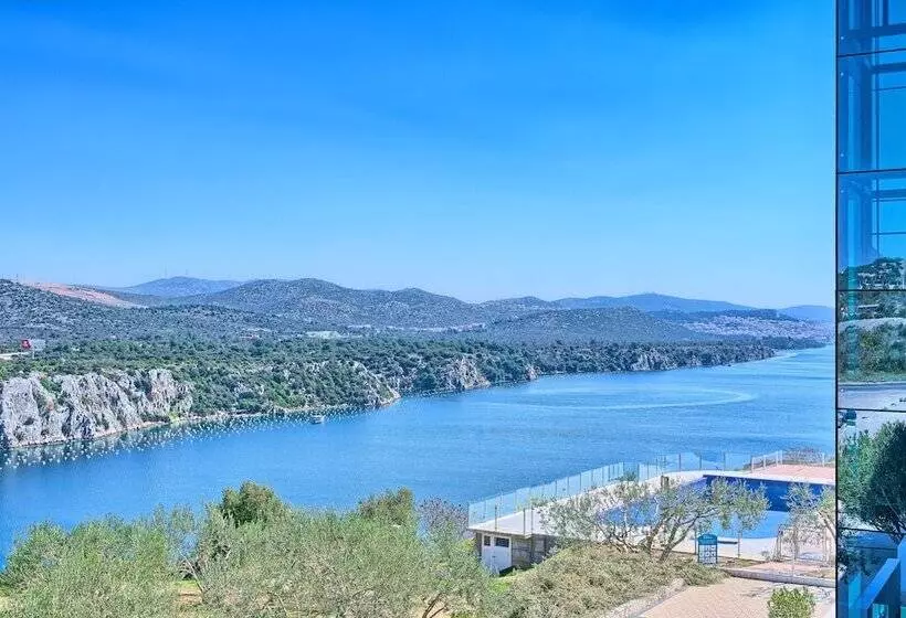 اتاق سوپریور, Panorama