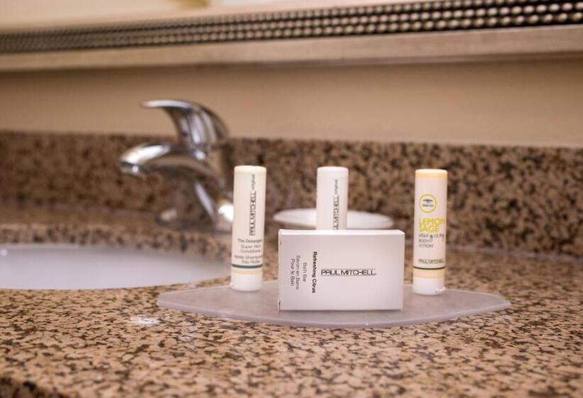 带大床的套房, Residence Inn By Marriott Albuquerque Airport