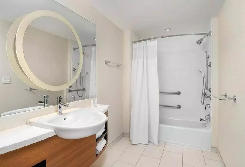 キングサイドベッドのスタンダードワンルーム, Springhill Suites By Marriott Downtown Chattanooga/cameron Harbor
