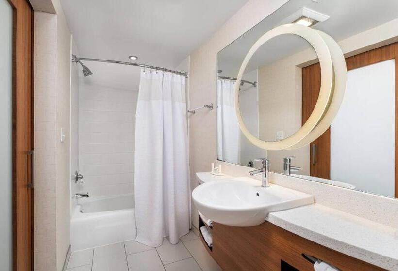 带大床的标准工作室, Springhill Suites By Marriott Downtown Chattanooga/cameron Harbor