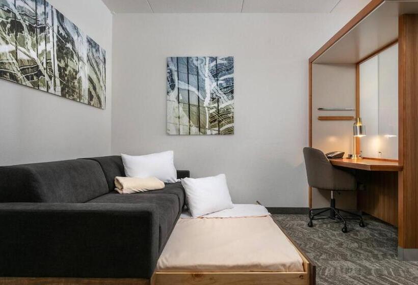 带大床的标准工作室, Springhill Suites By Marriott Downtown Chattanooga/cameron Harbor