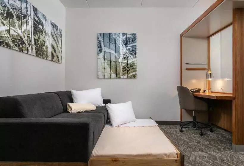 キングサイドベッドのスタンダードワンルーム, Springhill Suites By Marriott Downtown Chattanooga/cameron Harbor