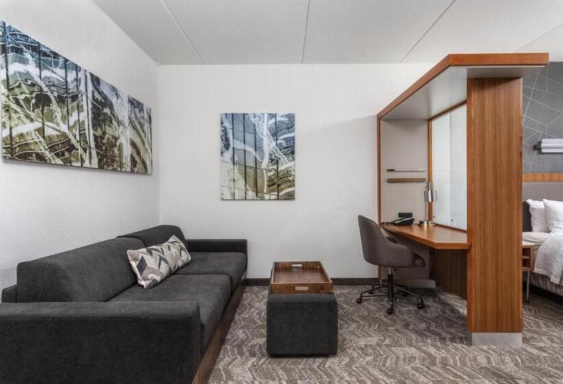 带大床的标准工作室, Springhill Suites By Marriott Downtown Chattanooga/cameron Harbor