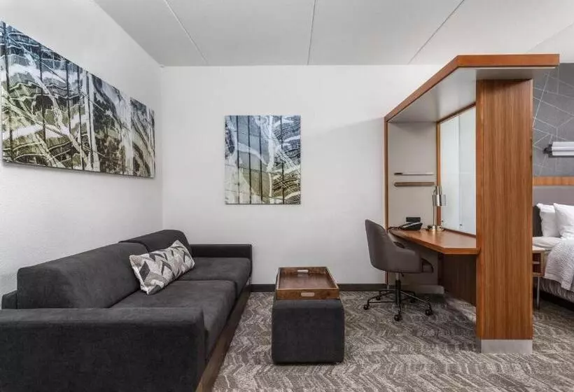 キングサイドベッドのスタンダードワンルーム, Springhill Suites By Marriott Downtown Chattanooga/cameron Harbor