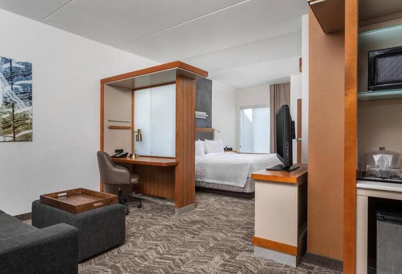 Студио Стандарт Кровать Кинг, Springhill Suites By Marriott Downtown Chattanooga/cameron Harbor