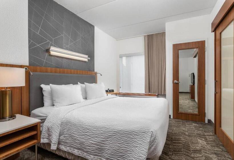 带大床的标准工作室, Springhill Suites By Marriott Downtown Chattanooga/cameron Harbor