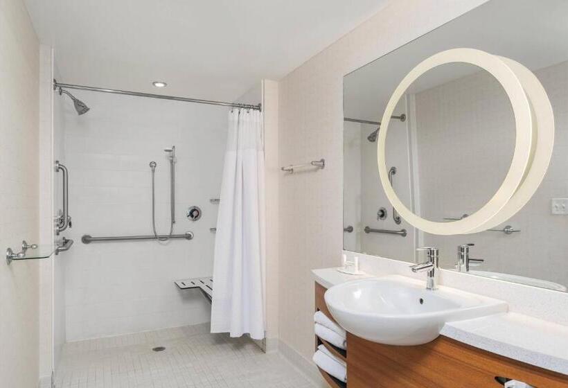 带大床的标准工作室, Springhill Suites By Marriott Downtown Chattanooga/cameron Harbor