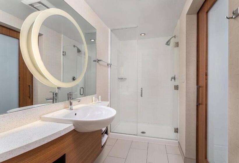 Standard studio with river view, Springhill Suites By Marriott Downtown Chattanooga/cameron Harbor