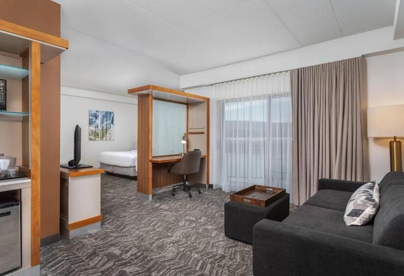 带大床的标准工作室, Springhill Suites By Marriott Downtown Chattanooga/cameron Harbor