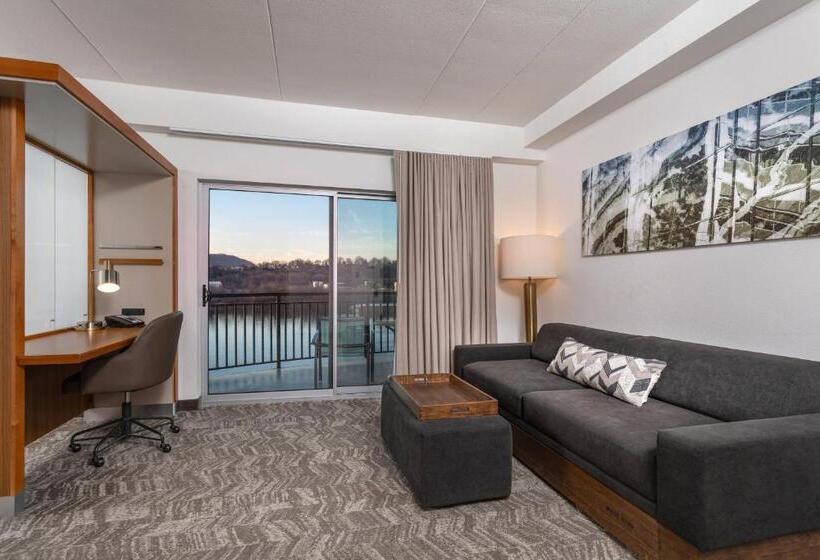 带大床的标准工作室, Springhill Suites By Marriott Downtown Chattanooga/cameron Harbor