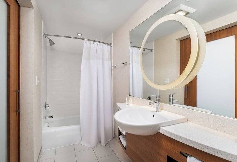 Standard studio with river view, Springhill Suites By Marriott Downtown Chattanooga/cameron Harbor
