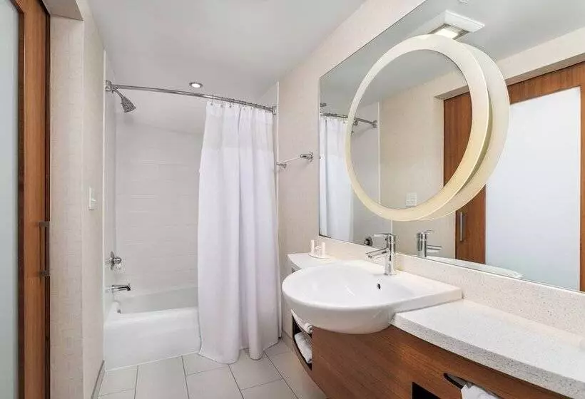 Standard studio with river view, Springhill Suites By Marriott Downtown Chattanooga/cameron Harbor