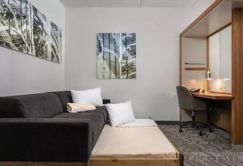 Standard studio with river view, Springhill Suites By Marriott Downtown Chattanooga/cameron Harbor