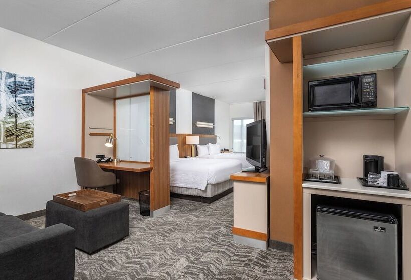 Standard studio with river view, Springhill Suites By Marriott Downtown Chattanooga/cameron Harbor