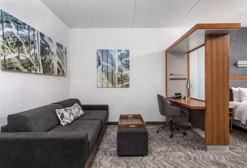 スタンダードスタジオ, Springhill Suites By Marriott Downtown Chattanooga/cameron Harbor