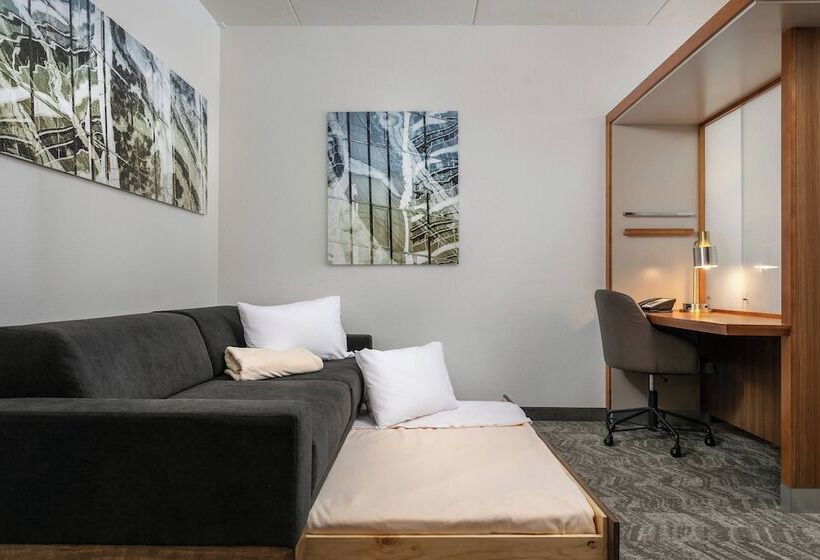 标准工作室, Springhill Suites By Marriott Downtown Chattanooga/cameron Harbor