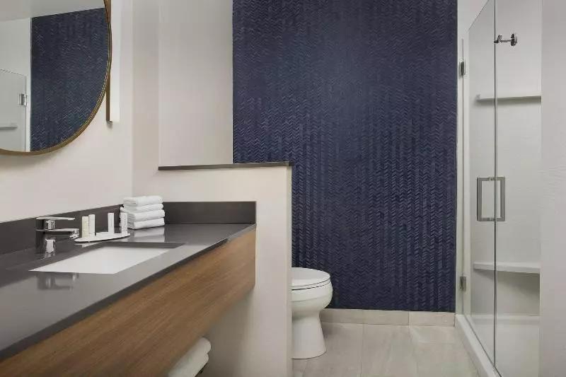 身障者適用キングサイズベッドルーム, Doubletree By Hilton Hotel Wuhu