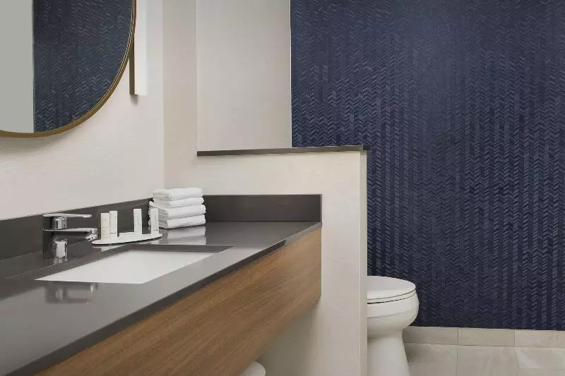 身障者適用キングサイズベッドルーム, Doubletree By Hilton Hotel Wuhu