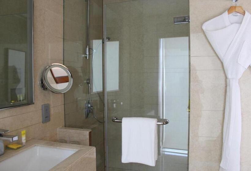 스탠다드 룸, Hyatt Ahmedabad