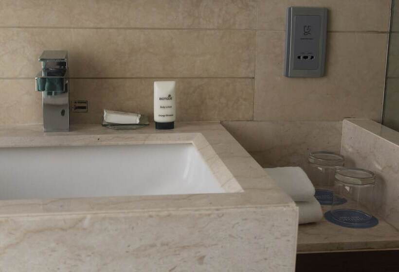 스탠다드 룸 킹사이즈 침대, Hyatt Ahmedabad