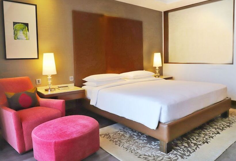 俱乐部房间, Hyatt Ahmedabad