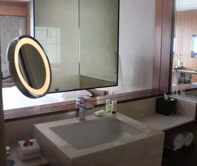 エクゼクティブスイート, Hyatt Ahmedabad