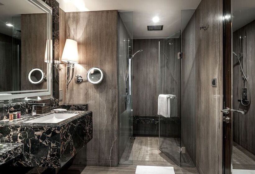 스위트, Hyatt Ahmedabad