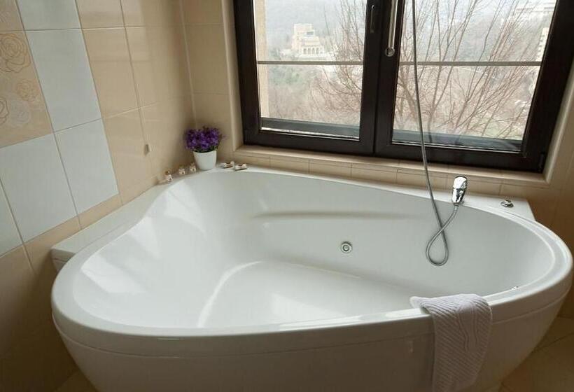 标准工作室, Panorama