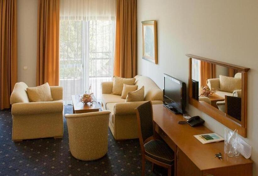 标准工作室, Panorama