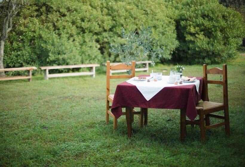 스탠다드 룸, Su Leunaxiu