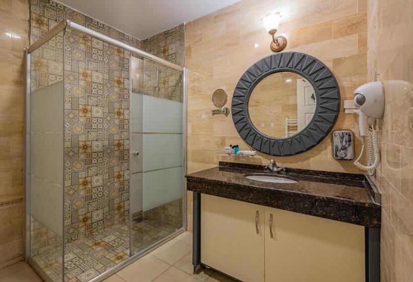 اتاق استاندارد, Ugurlu Termal Tatil Köyü