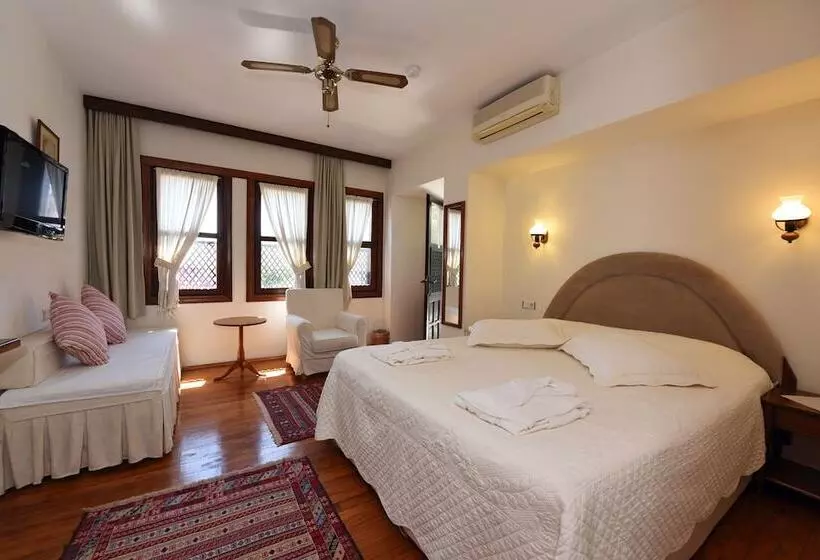 デラックスルーム, Villa Konak
