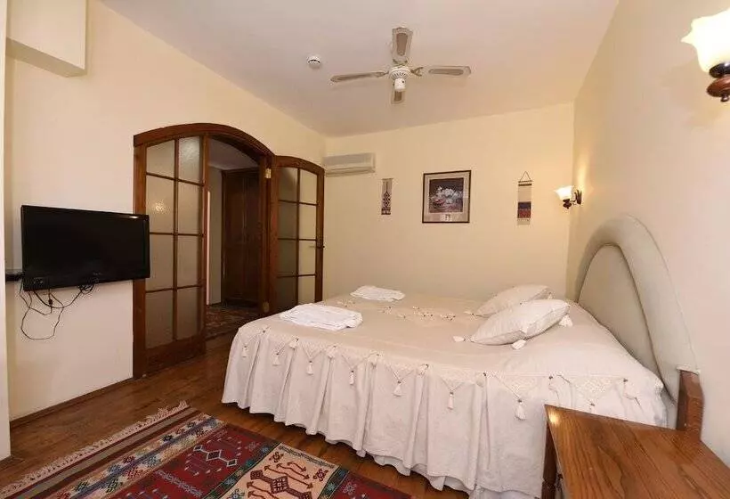 デラックスルーム, Villa Konak