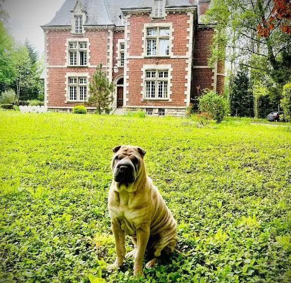 スタンダードルーム, Domaine De La Croix De Saint Lambert