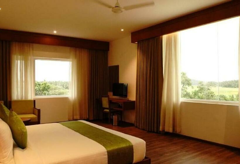 חדר דלוקס, Dass Regency