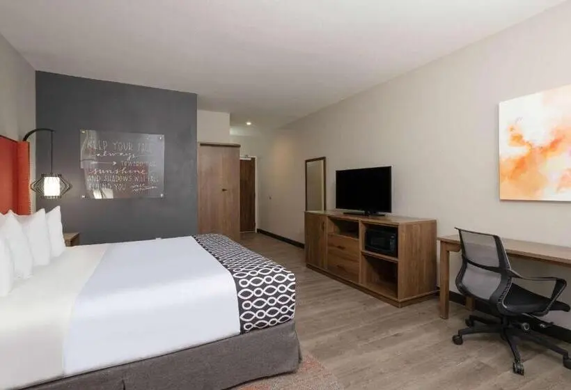 キングサイズベッドのスタンダードルーム, La Quinta Inn & Suites By Wyndham Pflugerville