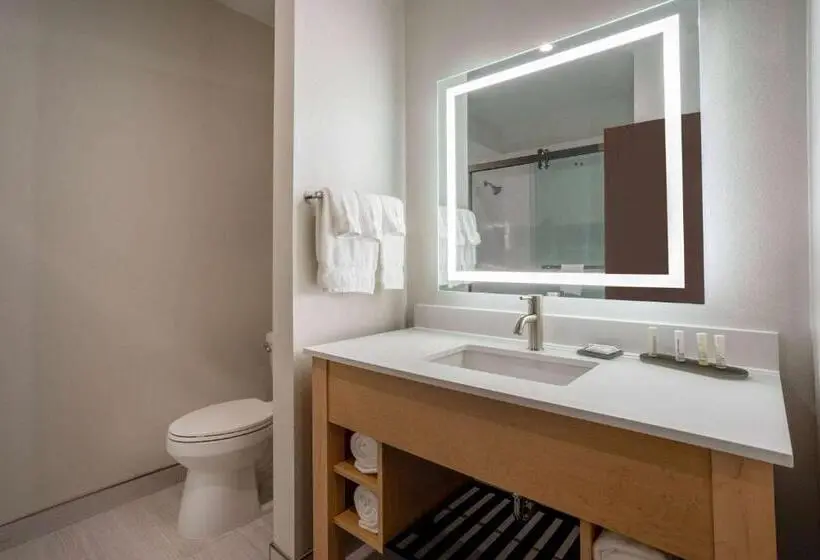 身障者適用スタンダードルーム, La Quinta Inn & Suites By Wyndham Pflugerville