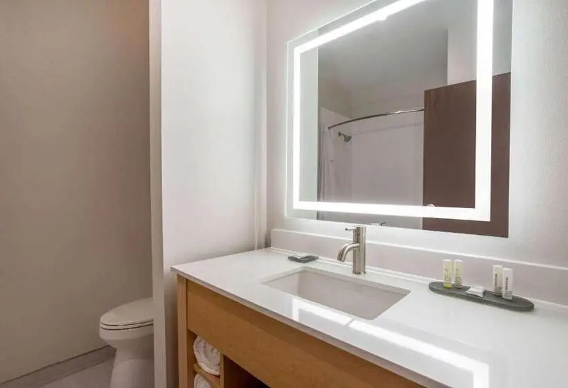 身障者適用スタンダードルーム, La Quinta Inn & Suites By Wyndham Pflugerville