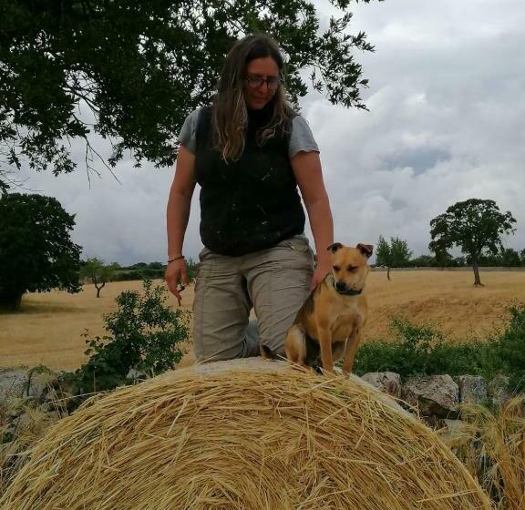 Номер Стандарт Вид на Бассейн, Masseria La Gatta Matta