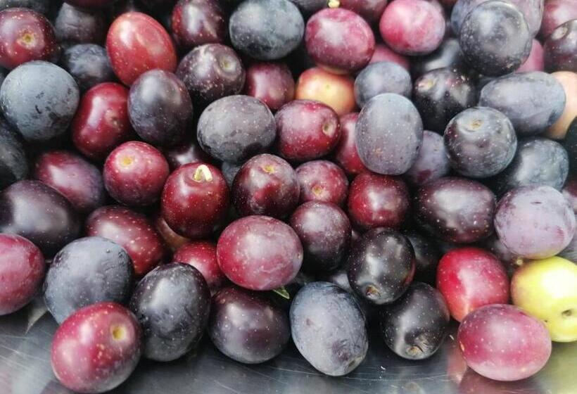 Апартаменты 2 Спальни, Masseria La Gatta Matta