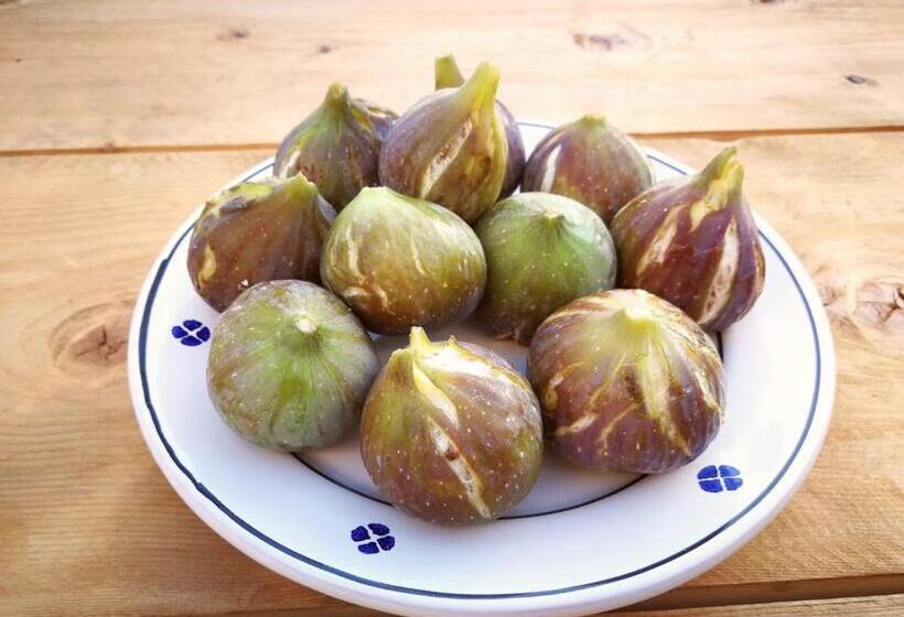 Номер Дюплекс, Masseria La Gatta Matta