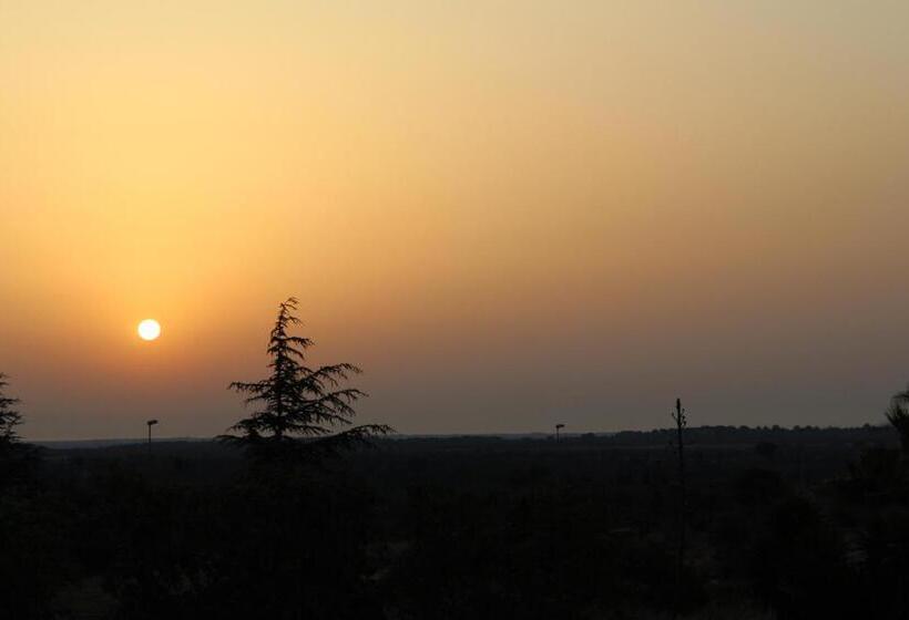 غرفة ديلوكس, Sunflowersalento